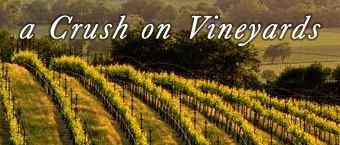Vacation Rentals on Vineyards